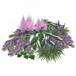 Rhododendron-Unterpflanzung rosa / violett 